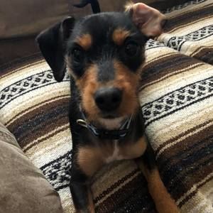 Meet your Posher, Cade